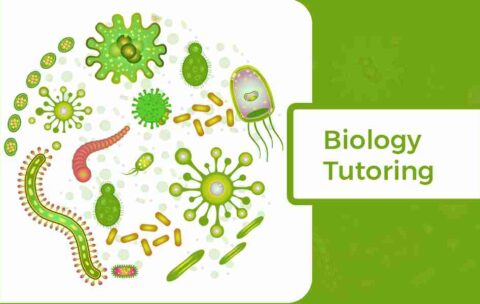 BIOLOGY_11zon